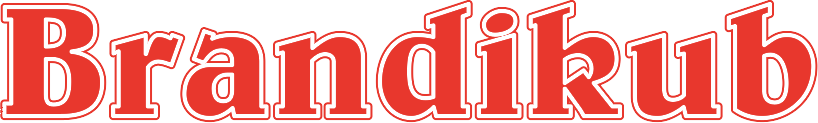 Brandikub Logo